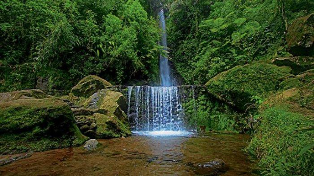Pesona Wisata Alam Parang Ijo: Surga Hijau di Lereng Gunung Lawu